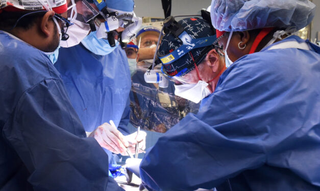 O nouă grefă a unui rinichi de porc la un pacient uman, realizată cu succes în Statele Unite